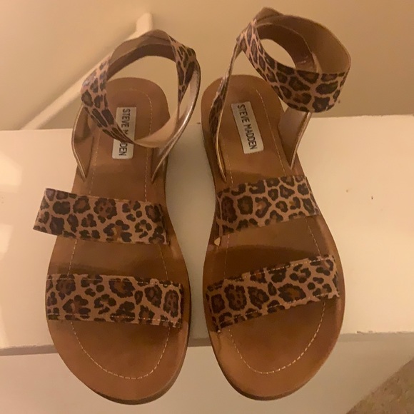cheetah steve madden sandals